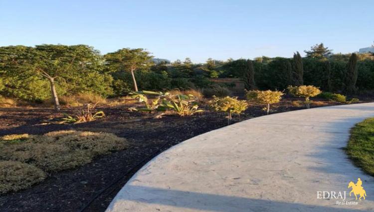 IMG-20160613-WA0031_800x600.jpg d