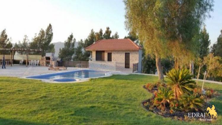 IMG-20160613-WA0038_800x600.jpg 3